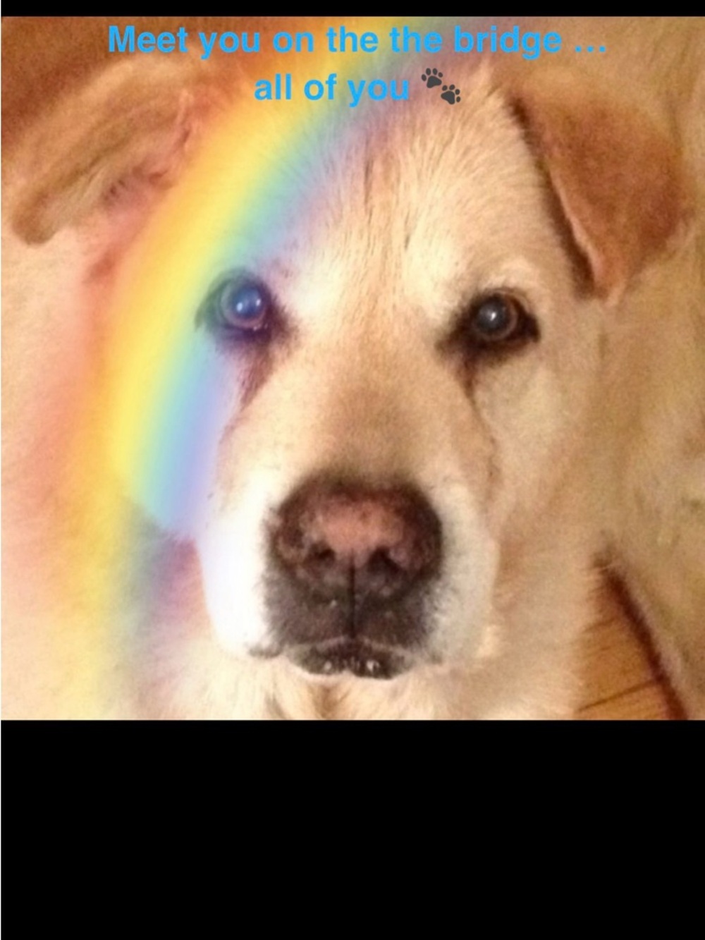 Meet your Posher, Donna